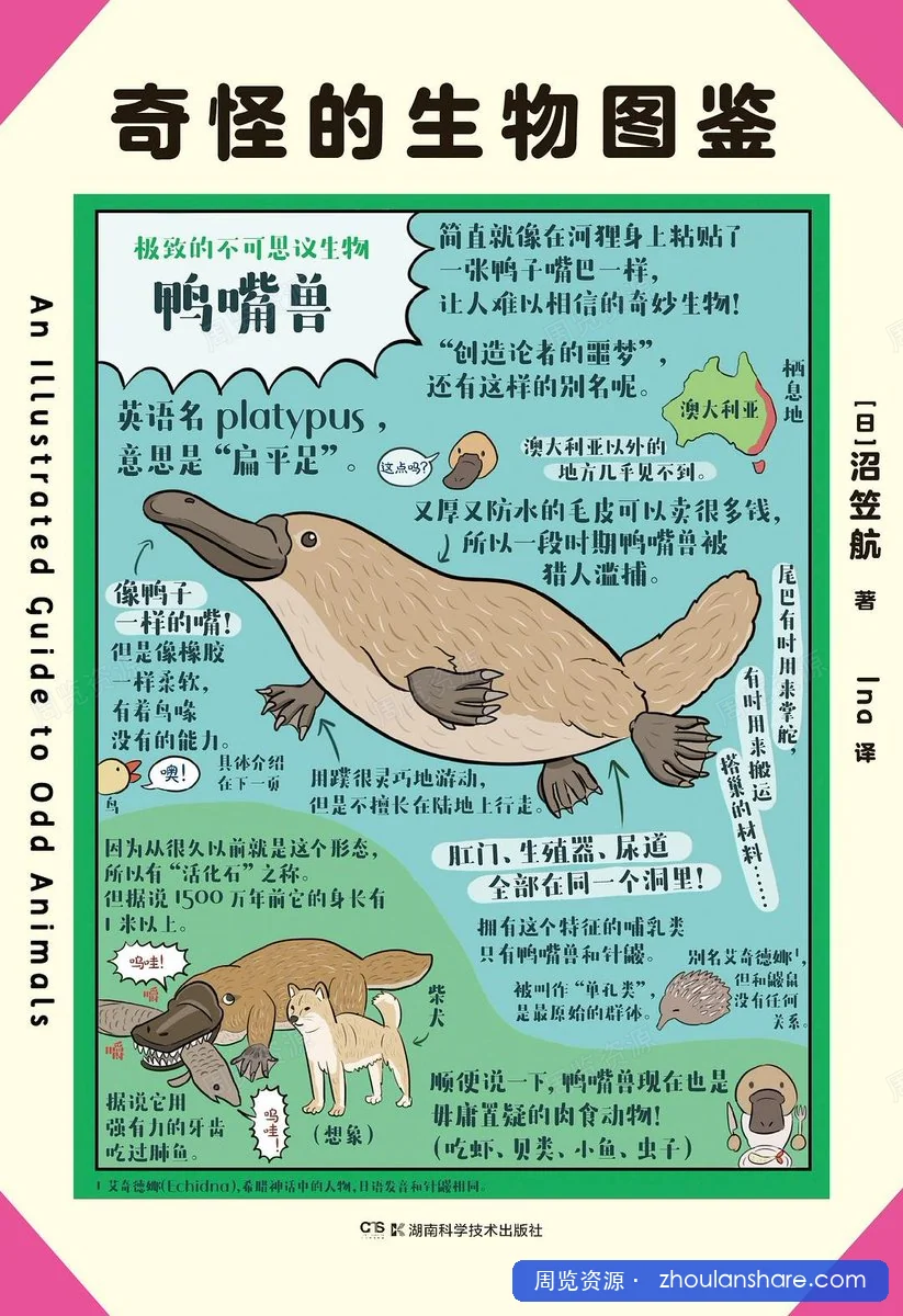 奇怪的生物图鉴