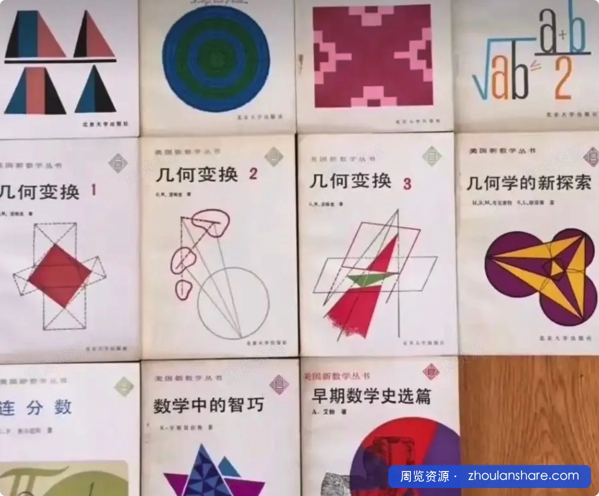 美国新数学丛书