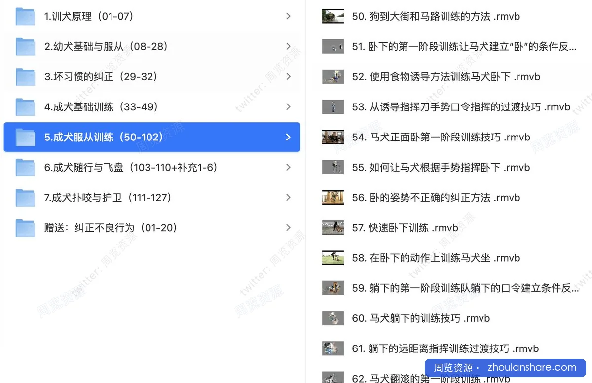 全网最全训犬教程！让你的狗狗秒变“别人家的狗”纠正坏习惯+飞盘+随行训练（140节课）