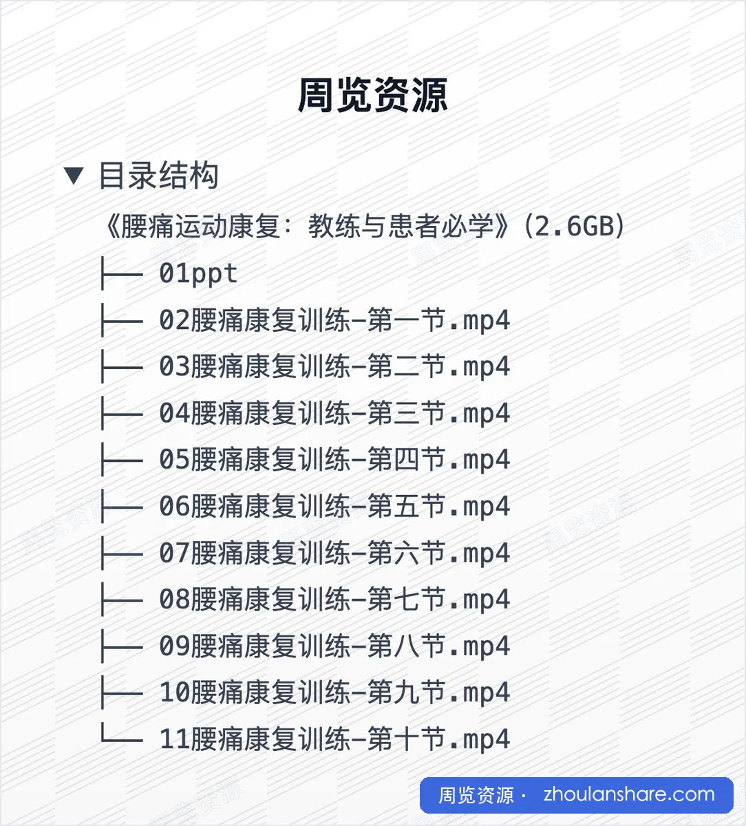 腰痛运动康复：教练与患者必学