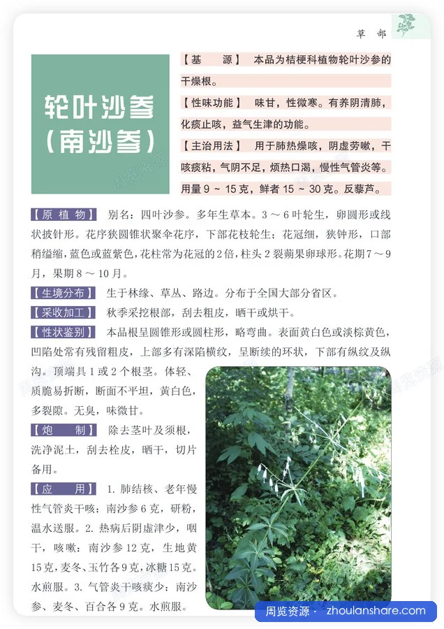 本草纲目原色图谱800例