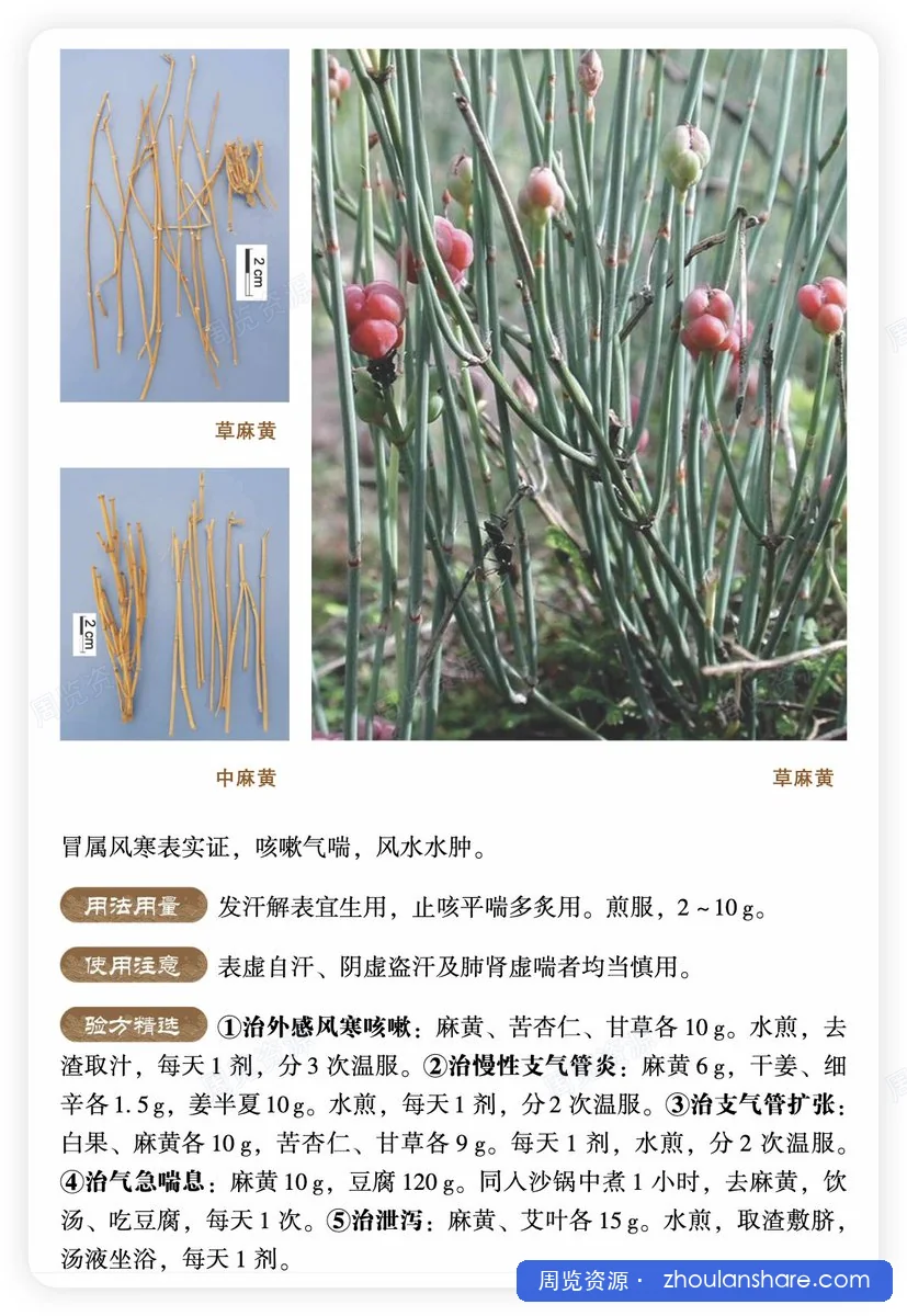 中草药图鉴合集
