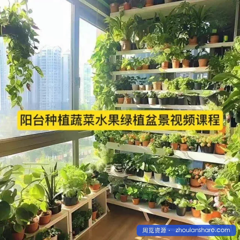 这是一套实用的阳台种植课程，帮助你从零开始，打造属于自己的小菜园。