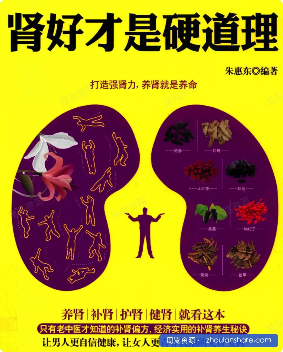 肾好才是硬道理 pdf