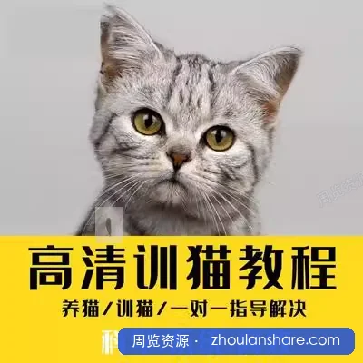 养猫训猫教程合集，养猫人士必备