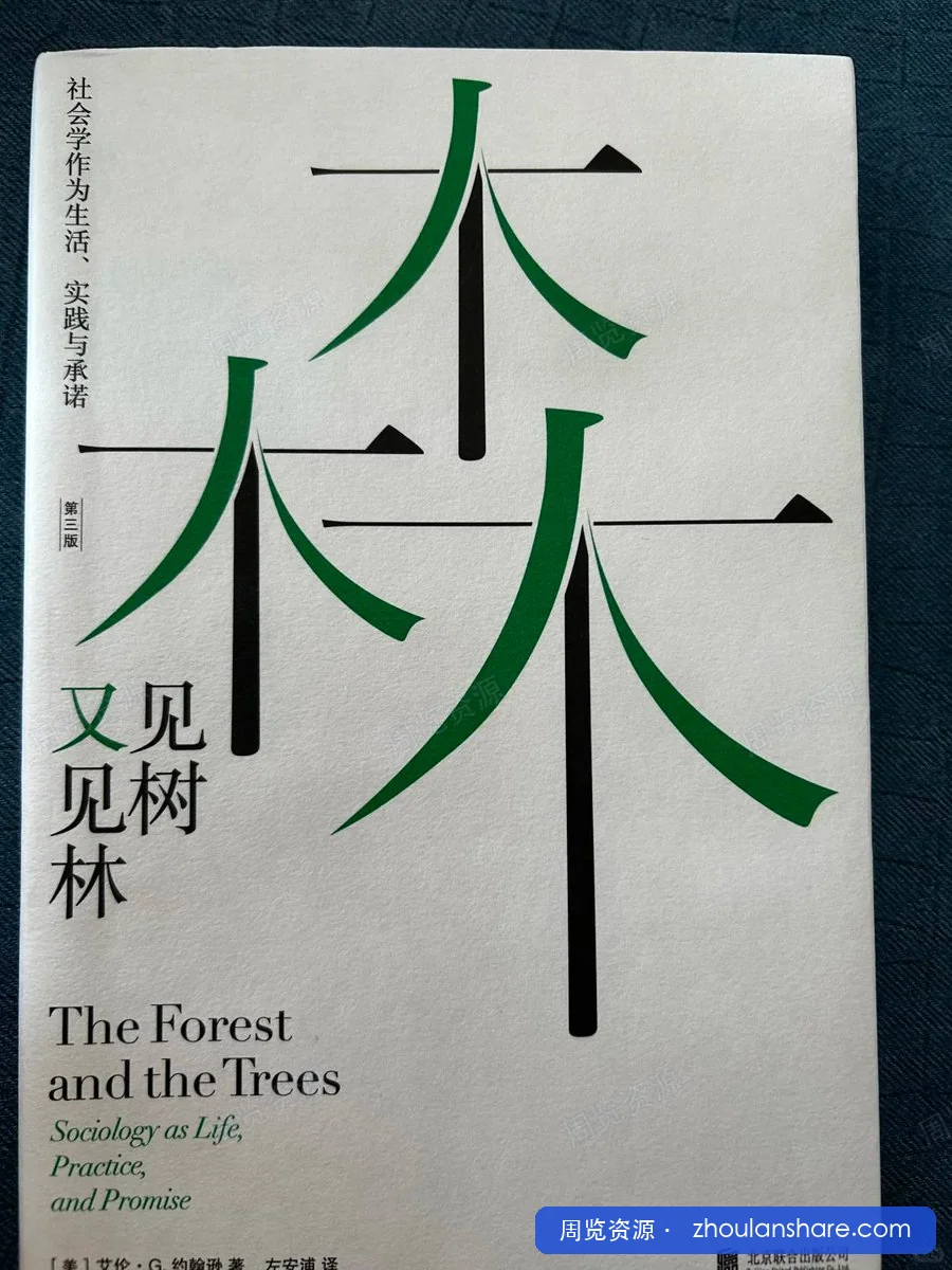 见树又见林